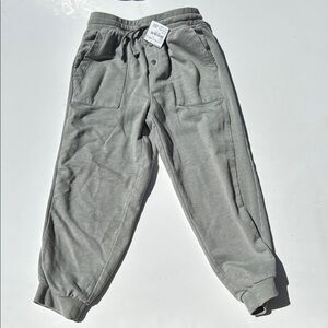 Splendid Joggers in sage green